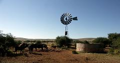 090509_South_Africa 223